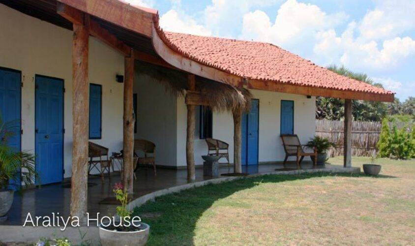 Palagama Beach Alankuda Beach Resorts