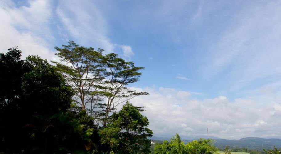 Randholee Luxury Resort