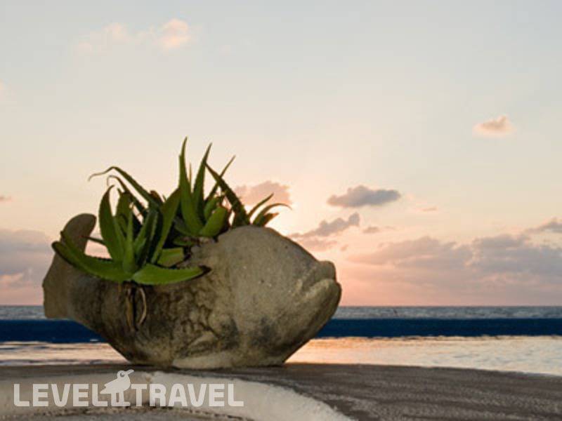Фотография Playa La Media Luna Hotel