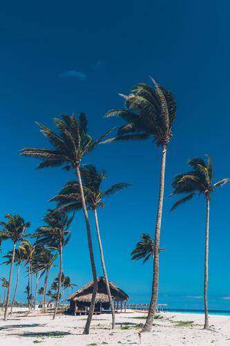 Muthu Colonial Cayo Coco (Ex. Cubanacan Colonial Cayo Coco)