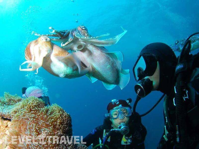 Фотография Puri Bagus Candidasa