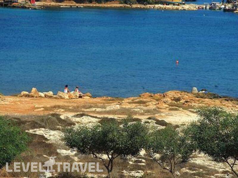 Фотография Mimosa Beach