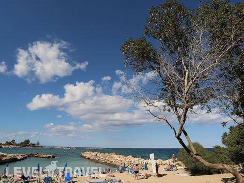 Фотография Mimosa Beach