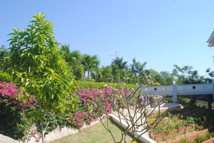 Lotus Muine Beach Resort & Spa