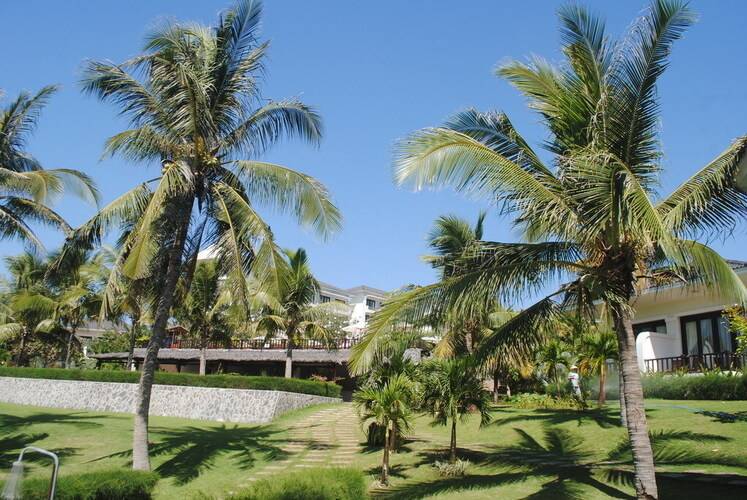 Lotus Muine Beach Resort & Spa