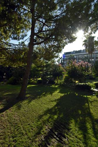 Oleander Hotel