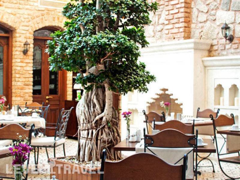 Фотография Celine Hotel