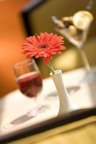 Ibis Hotel Istanbul Zeytinburnu