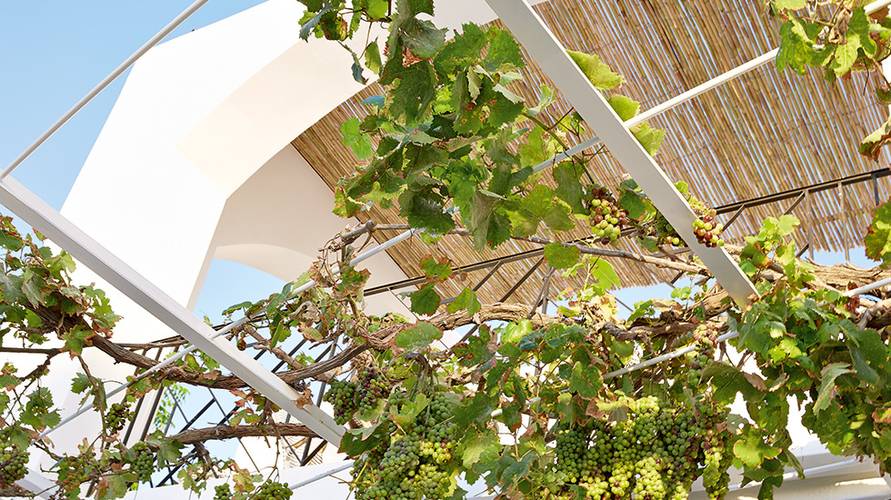 Grecotel Caramel Boutique Resort (Ex.Caramel Beach Village )
