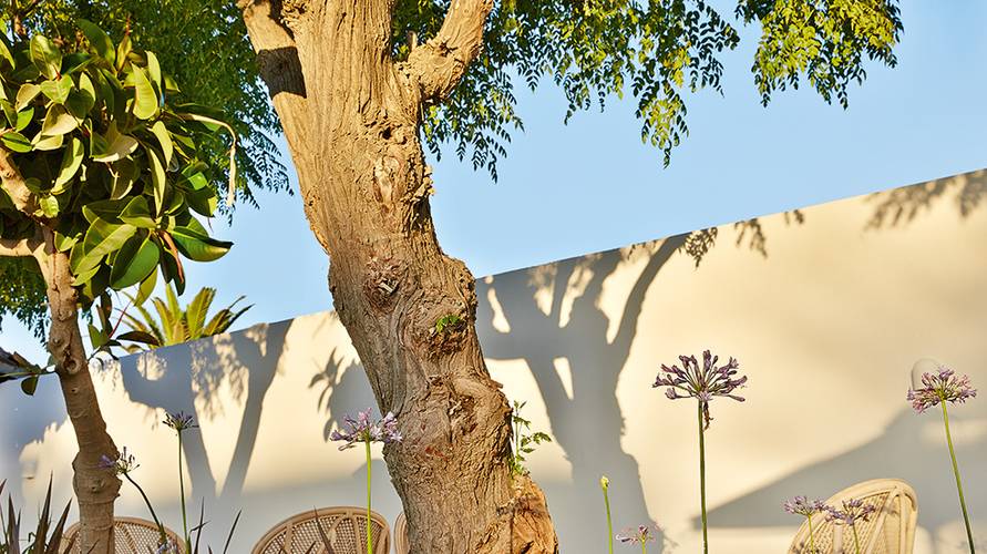 Grecotel Caramel Boutique Resort (Ex.Caramel Beach Village )
