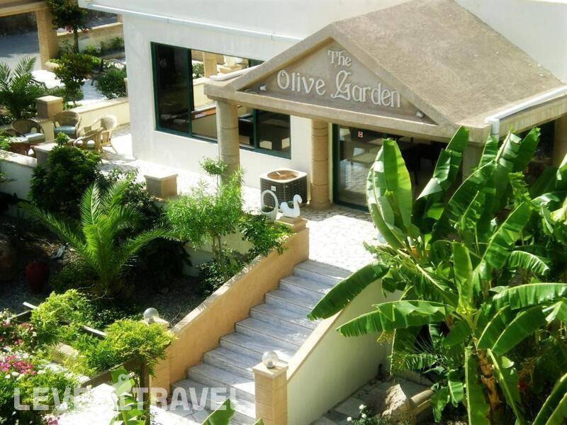 Фотография Olive Garden