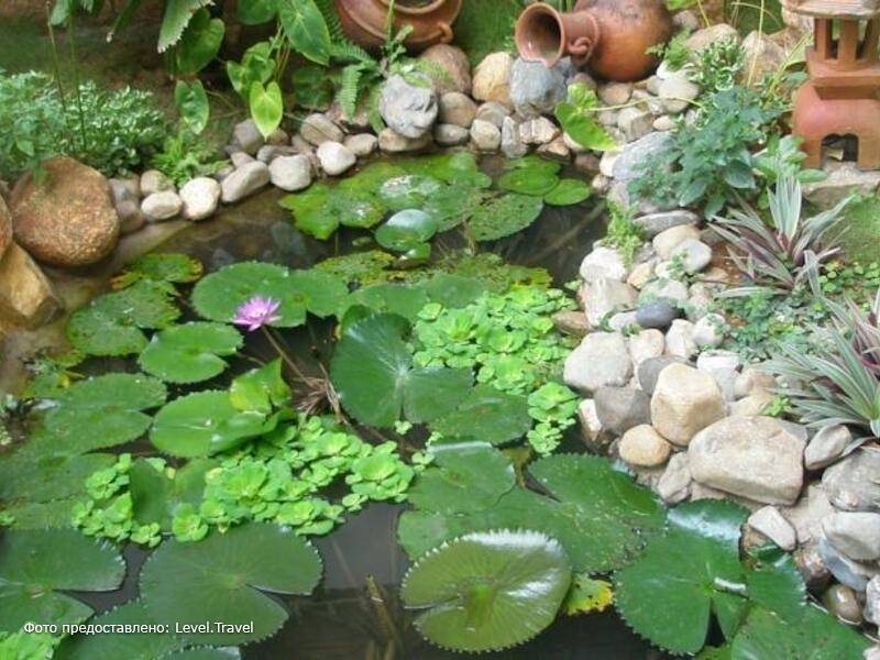 Фотография Green Hill Resort & Spa