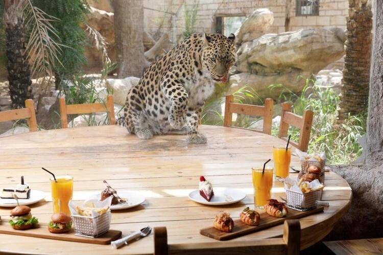 Emirates Park Resort