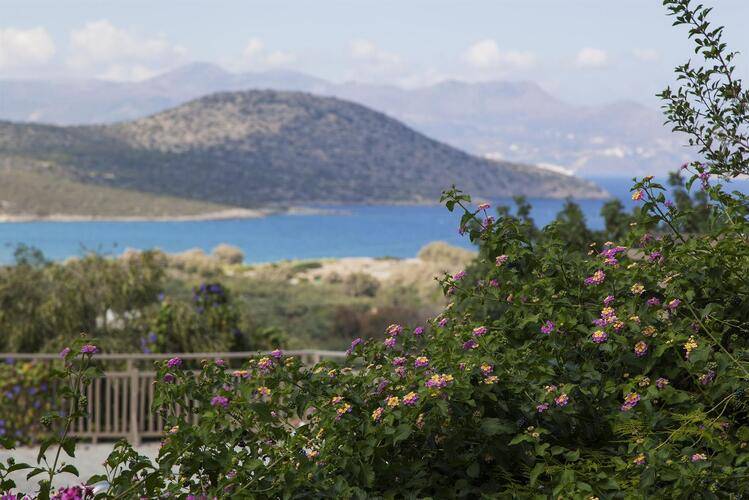 Elpida Village