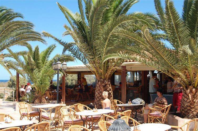 Cretan Garden
