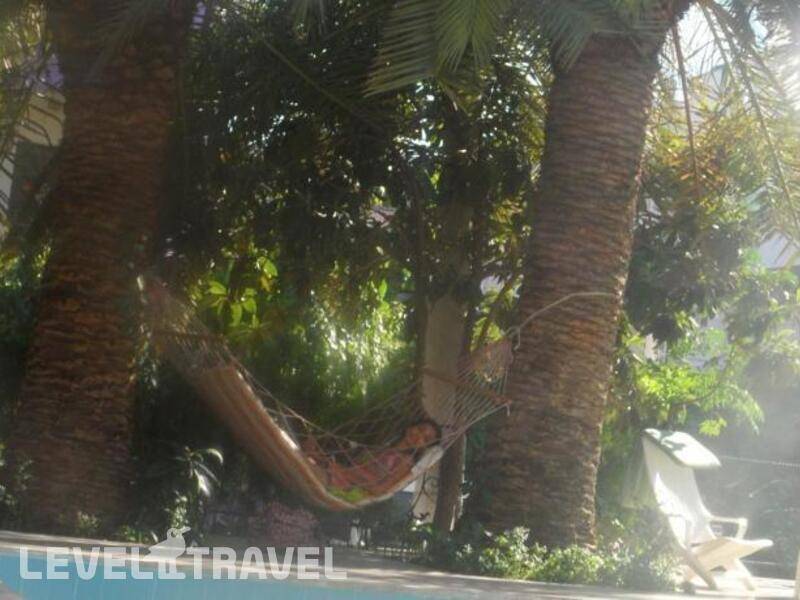 Фотография Green Palm Hotel Фотография Green Palm Hotel