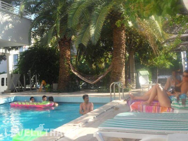 Фотография Green Palm Hotel Фотография Green Palm Hotel