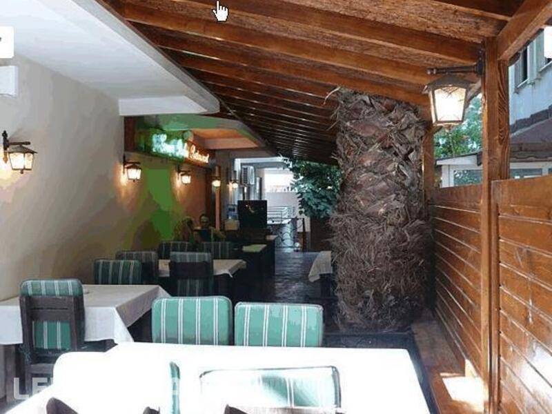 Фотография Green Palm Hotel Фотография Green Palm Hotel