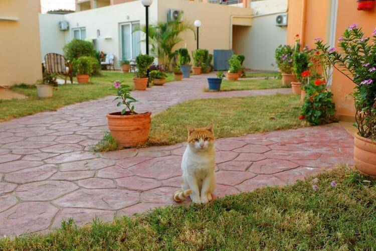 Rethymno Village