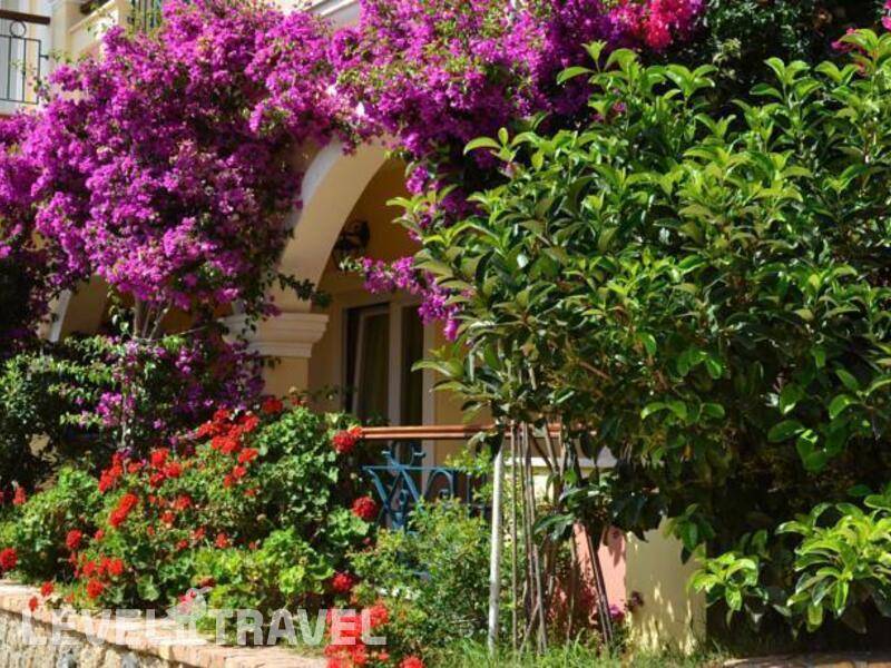 Фотография Delfino Blu Boutique Hotel