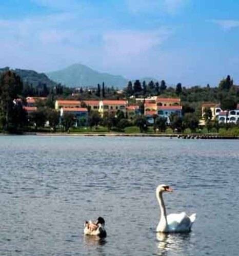 Govino Bay Corfu