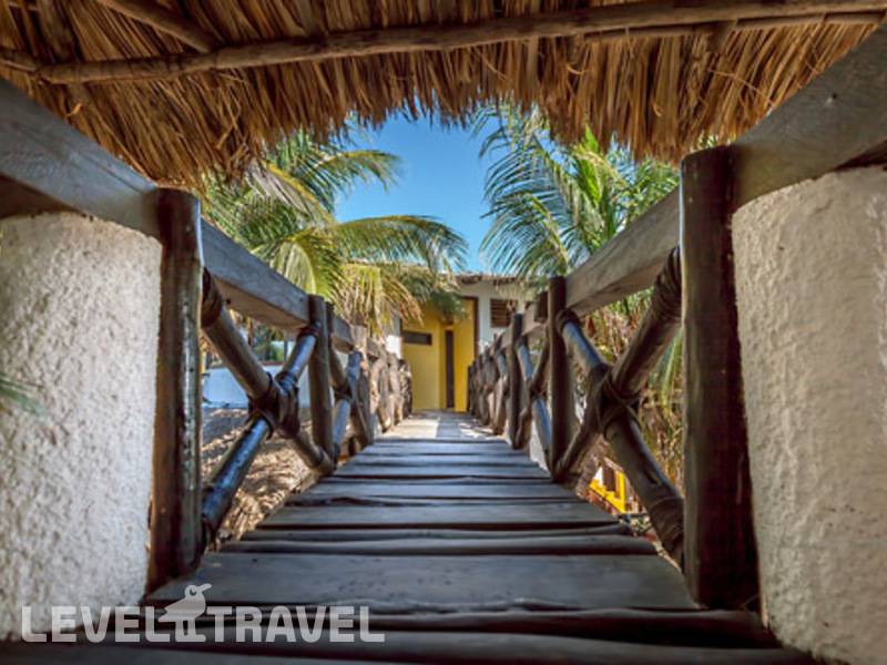 Фотография La Palapa Holbox