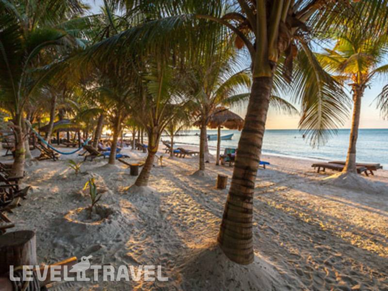 Фотография La Palapa Holbox