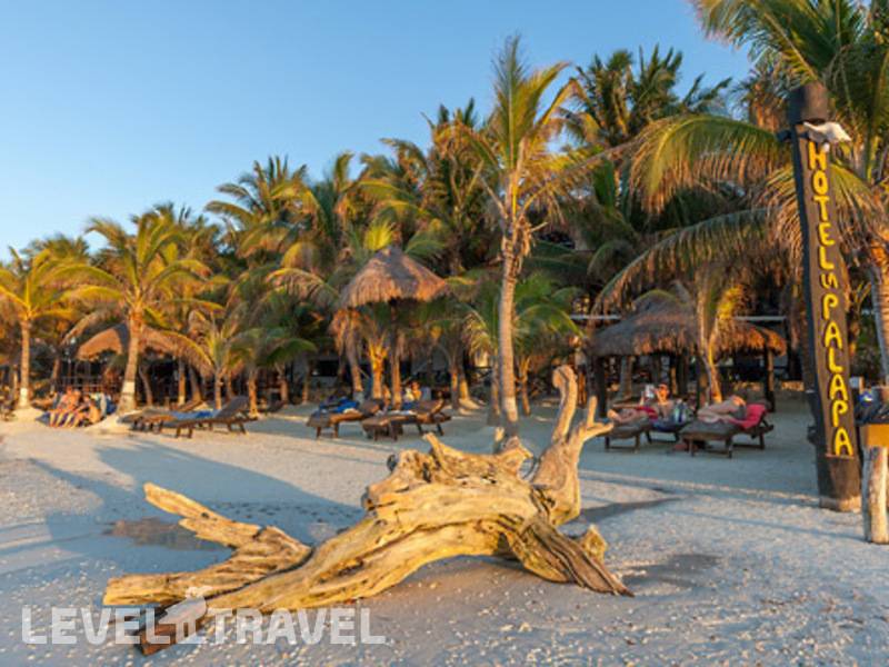 Фотография La Palapa Holbox