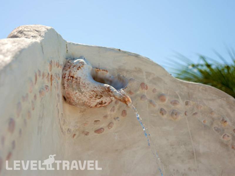 Фотография La Palapa Holbox