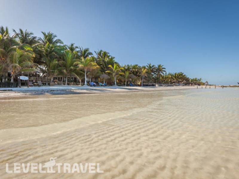 Фотография La Palapa Holbox