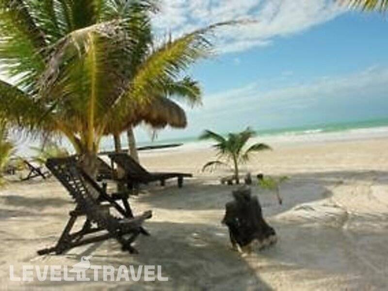 Фотография La Palapa Holbox Фотография La Palapa Holbox
