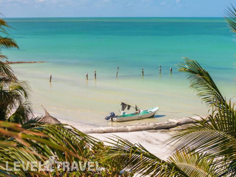Фотография La Palapa Holbox