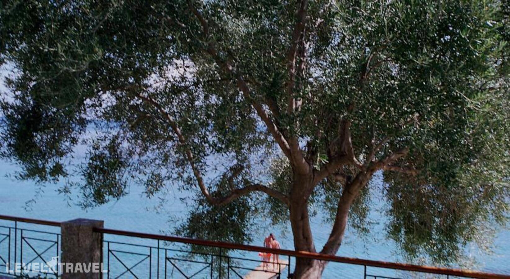 фотографии отеля Villa Electra в Греция(Агиос Иоаннис Перистерон) - фото №13