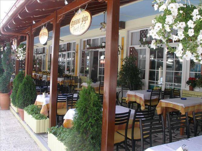White Rose Hotel