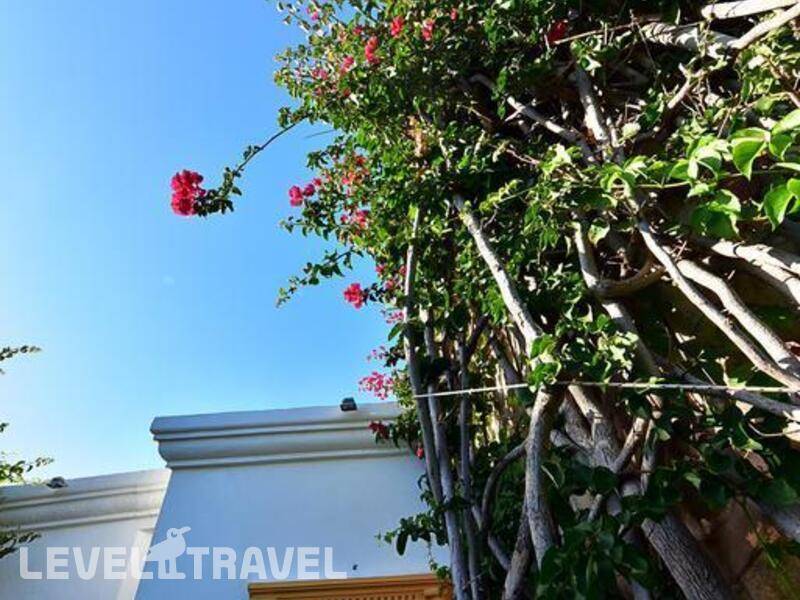 Фотография Tropicana Beach Hotel