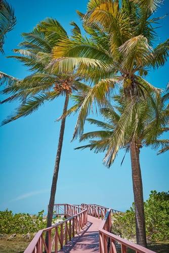 Gran Caribe Puntarena & Playa Caleta (Ex. Roc Varadero)