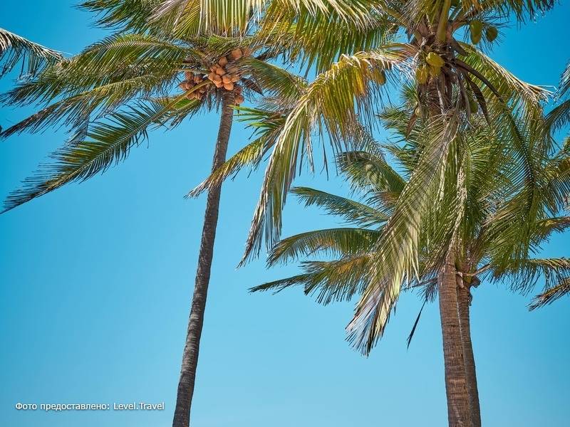 Фотография Gran Caribe Puntarena & Playa Caleta (Ex. Roc Varadero)