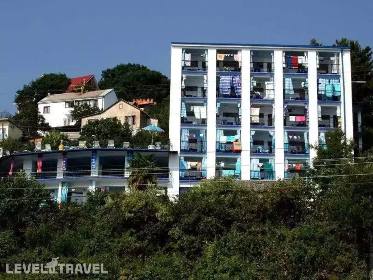 Орешник На Сочинском Шоссе