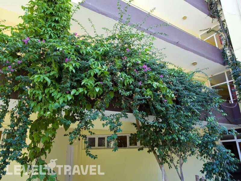 Фотография International Hotel