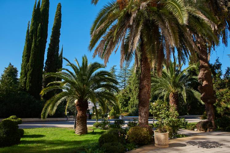 Rodina Grand Hotel & Spa Sochi