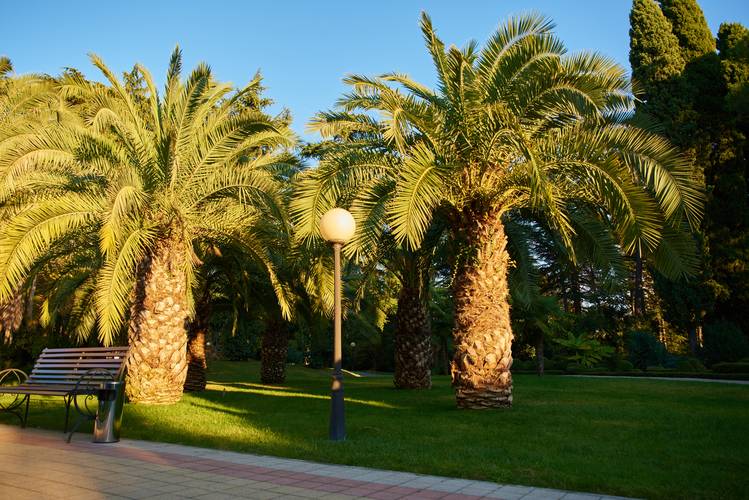 Rodina Grand Hotel & Spa Sochi