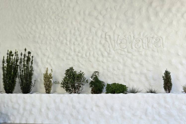 Велара (Бывш. Капитан Морей)