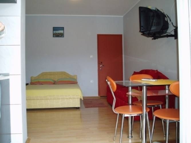 Tamara Apt