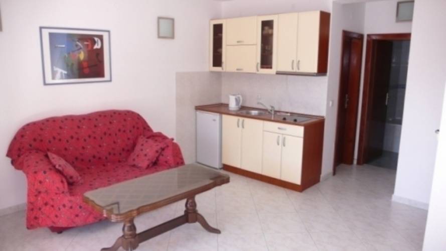 Tamara Apt