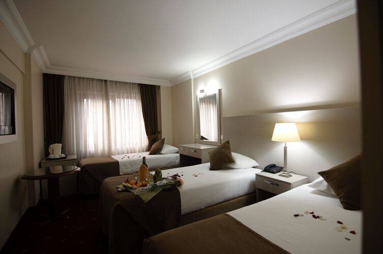 Buyuk Sahinler Hotel