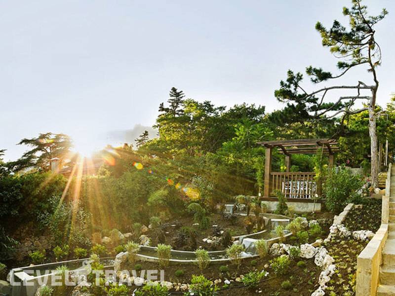 Фотография Санаторий Сосновая Роща Фотография Санаторий Сосновая Роща