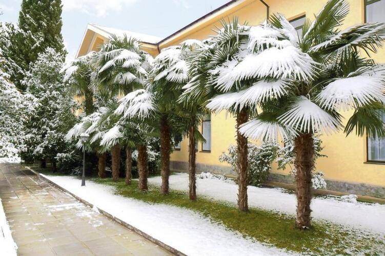 Golden Family Resort