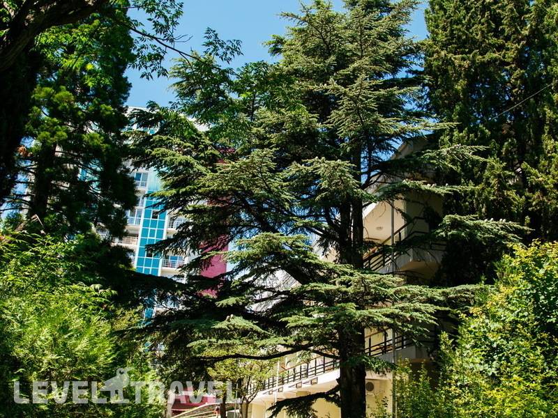 Фотография Пансионат Нева