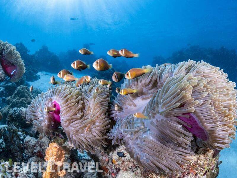 Фотография COMO Maalifushi