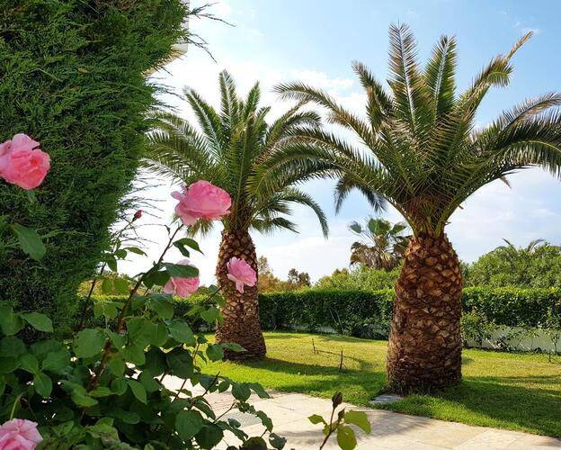 Alexandros Palace Hotel & Suites
